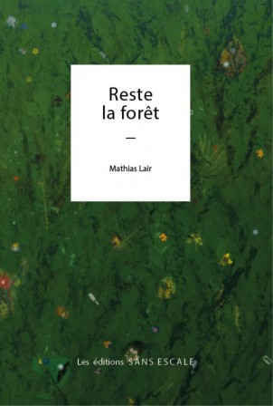 reste la forêt.jpg