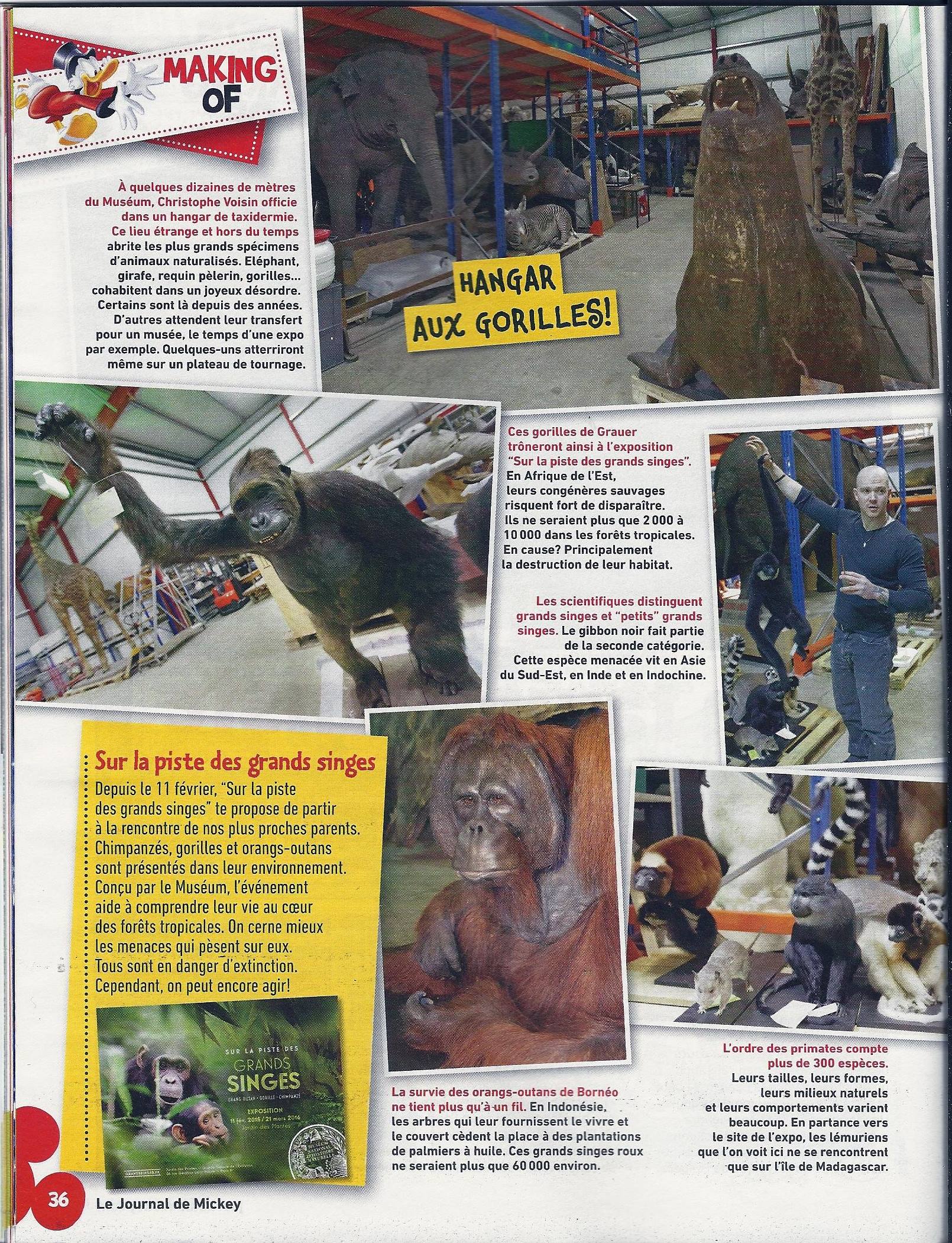rencontres sauvages exposition